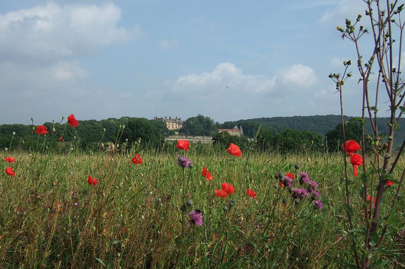 3-5-01Chateau bei Hombourg.JPG - Nach einem kurzen Blick auf ein Château bei Hombourg-Budange ...